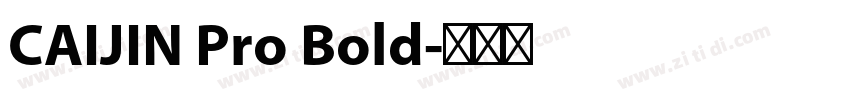 CAIJIN Pro Bold字体转换